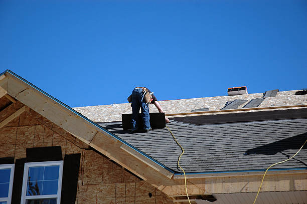 Best Roof Moss and Algae Removal  in Sun City Center, FL