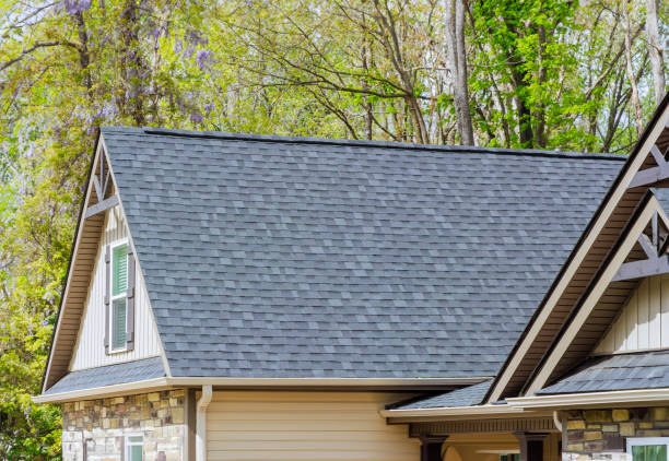 Best Asphalt Shingles Roofing  in Sun City Center, FL